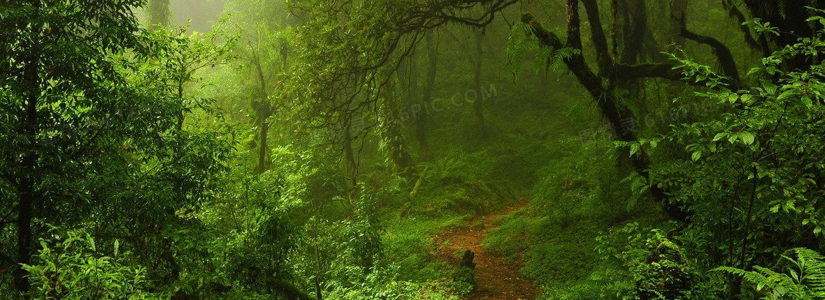 清新背景背景图片下载_1920x700像素jpg格式_编号zqwfp5q2z_图精灵