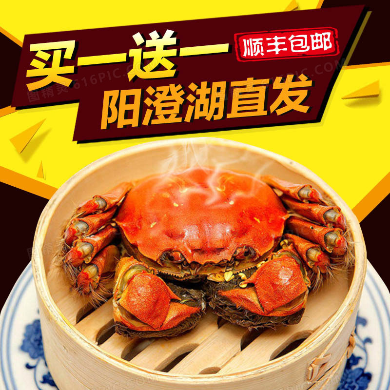 黄色澄阳湖大闸蟹食品背景