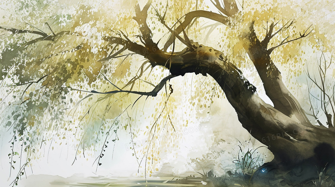 河边垂柳风景插画