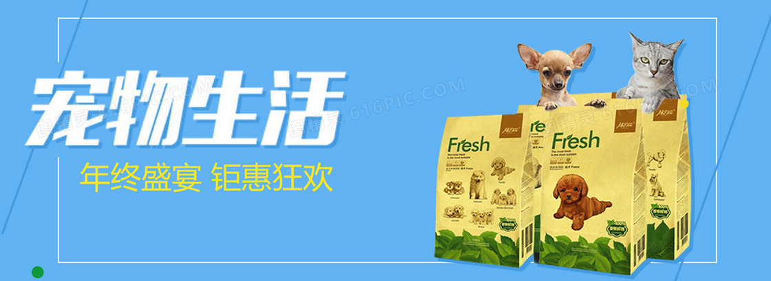 宠物背景图