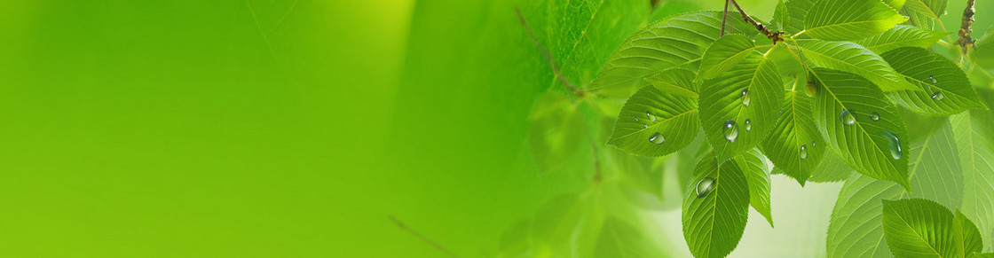 淘宝背景banner