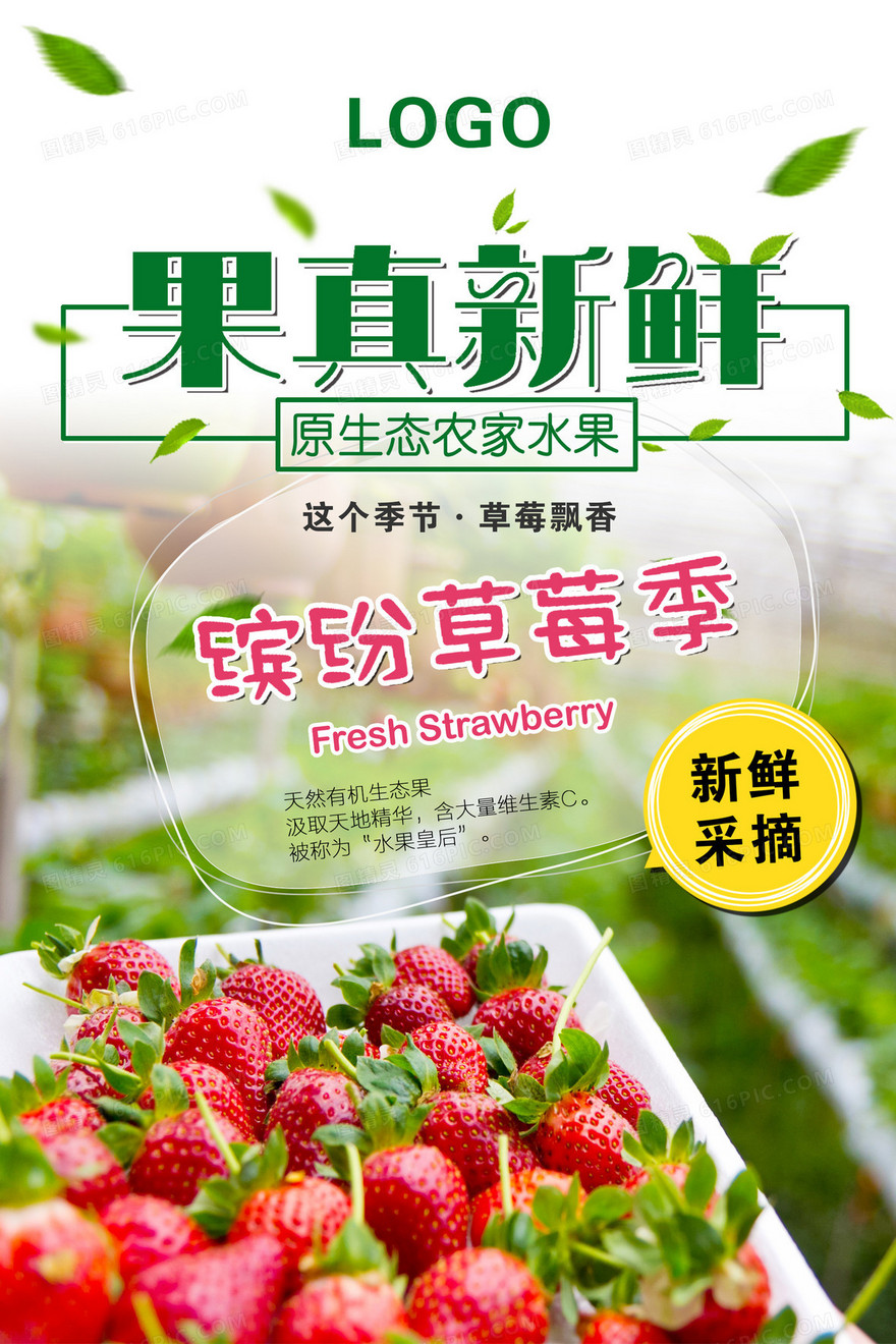 草莓园活动背景素材