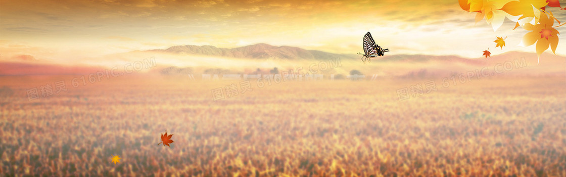 秋季秋装唯美背景banner
