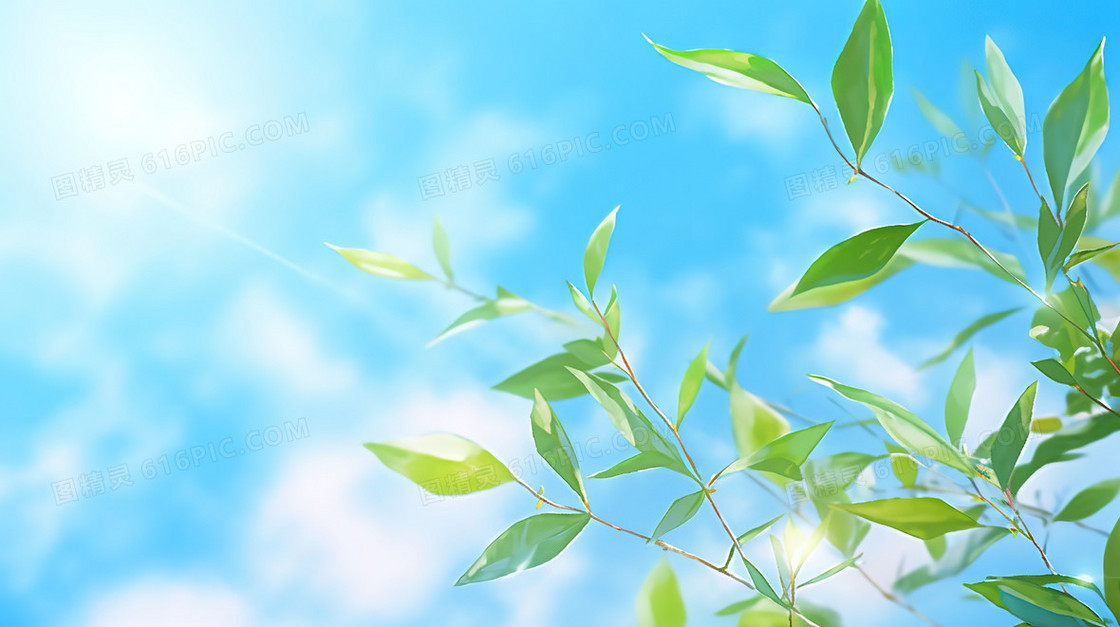 蓝天白云下的绿叶树枝插画