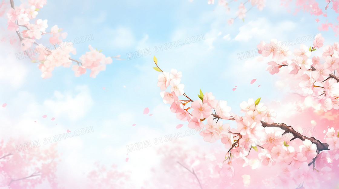 春季盛开的樱花树下仰视蓝天插画
