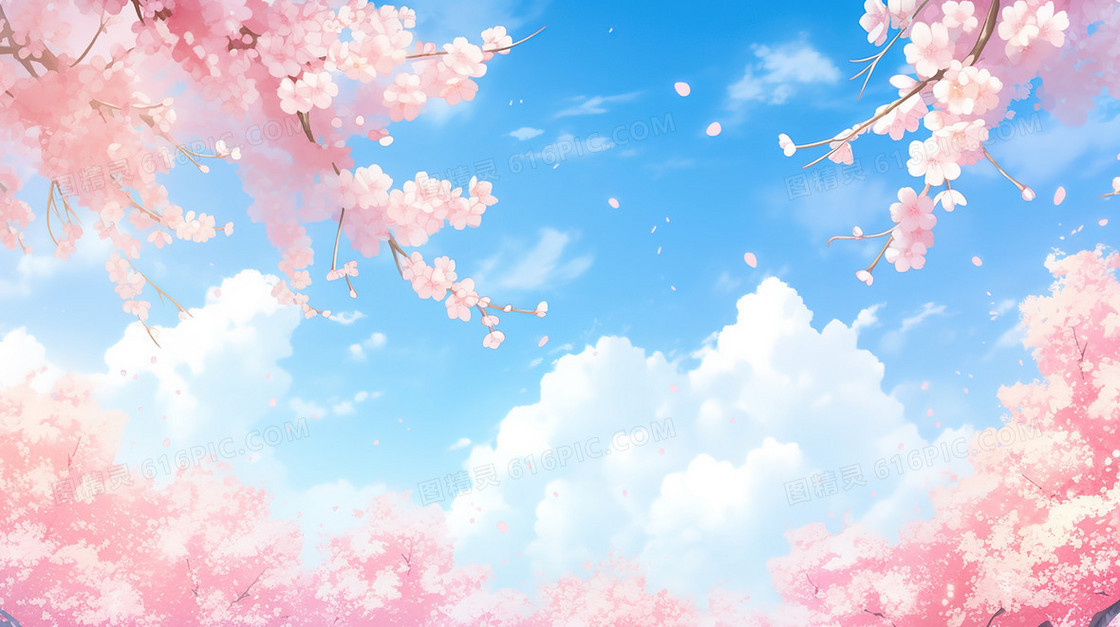 春季盛开的樱花树下仰视蓝天插画
