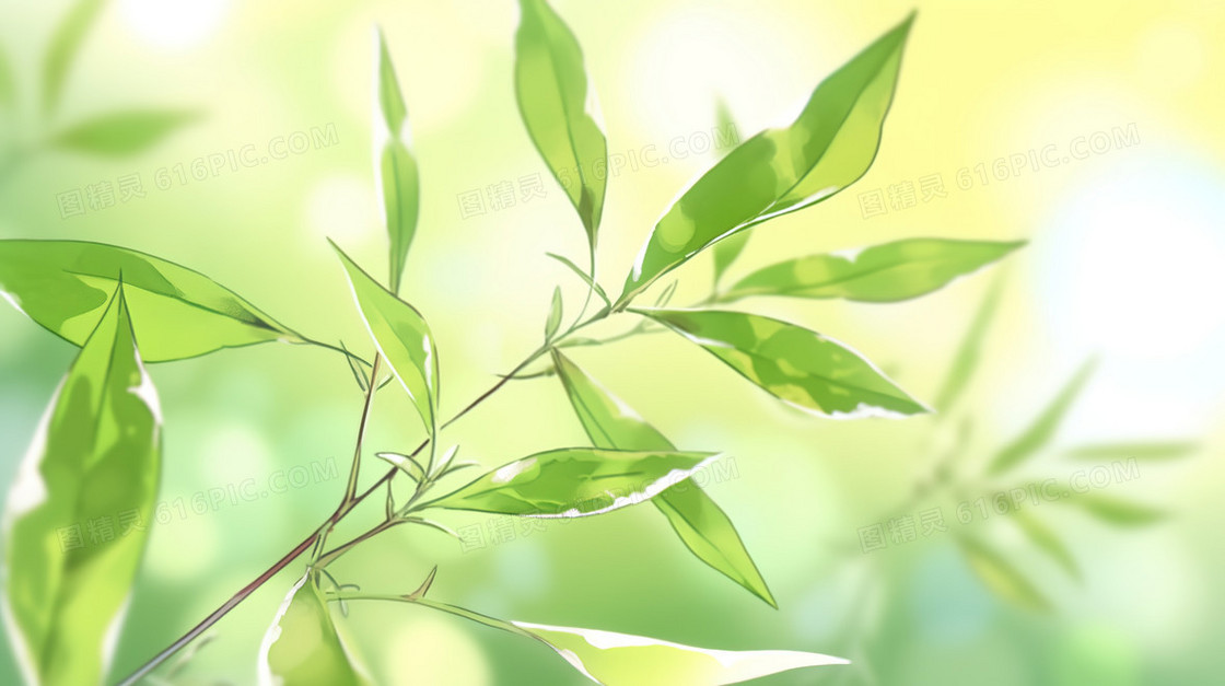 春天绿色的树枝嫩芽插画