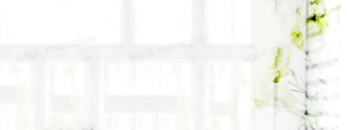 鲜花背景唯美花朵 洁白 简洁 淘宝海报