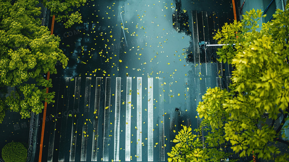 春季雨中的街道斑马线图片