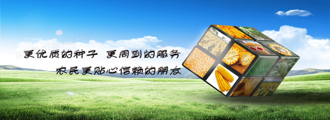 农资种子