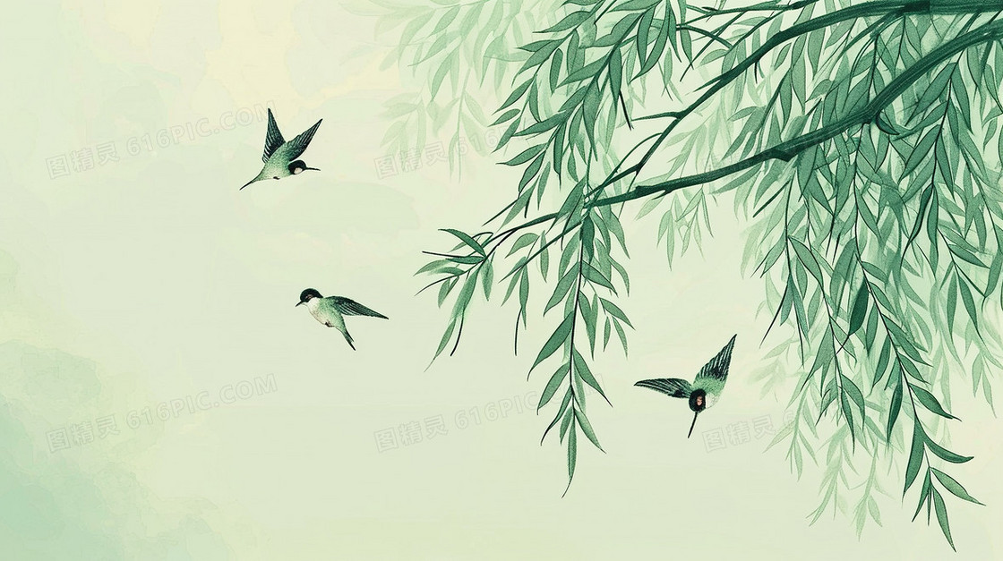 春季绿色中国风柳枝风景插画
