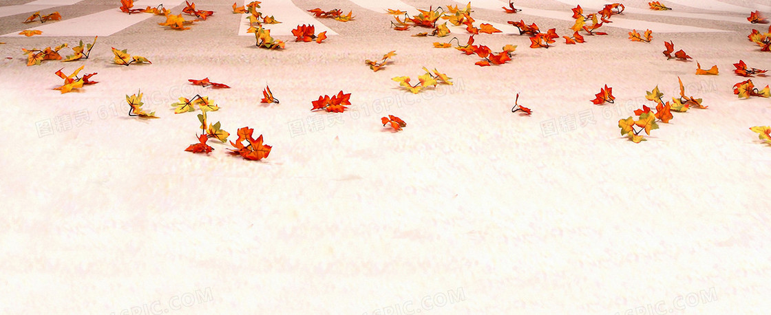 秋天落叶唯美背景banner