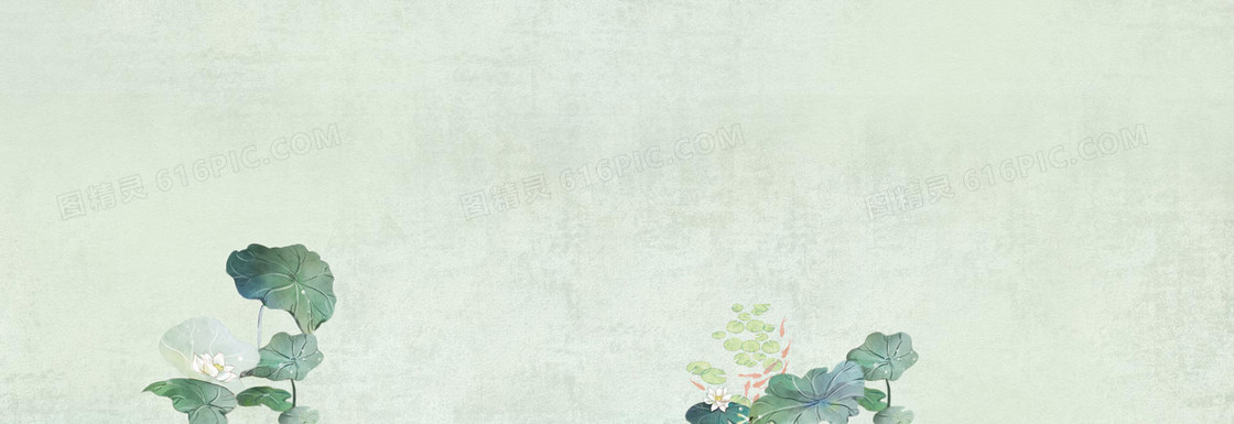 小荷52