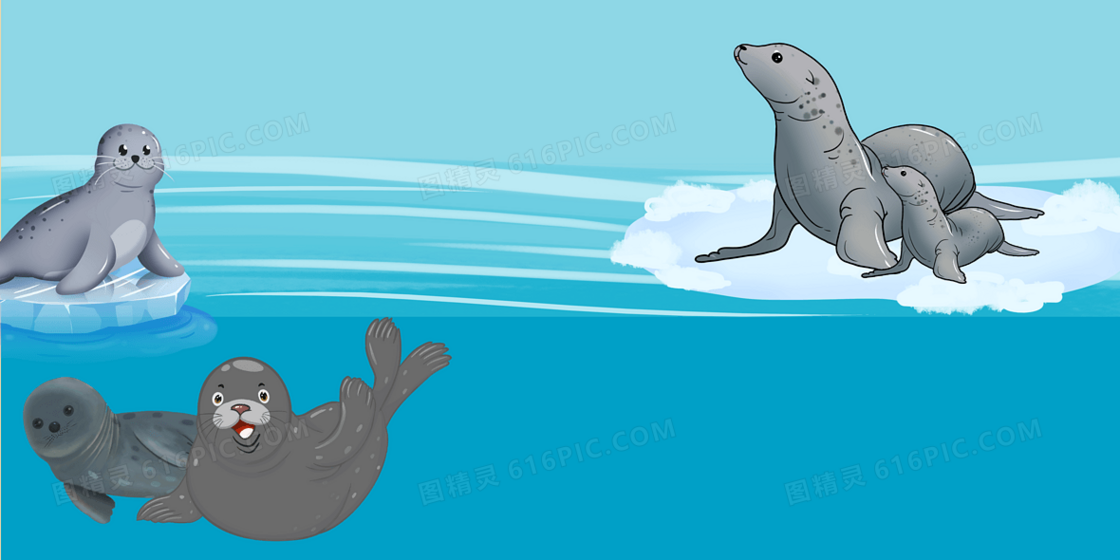 卡通国际海豹日背景