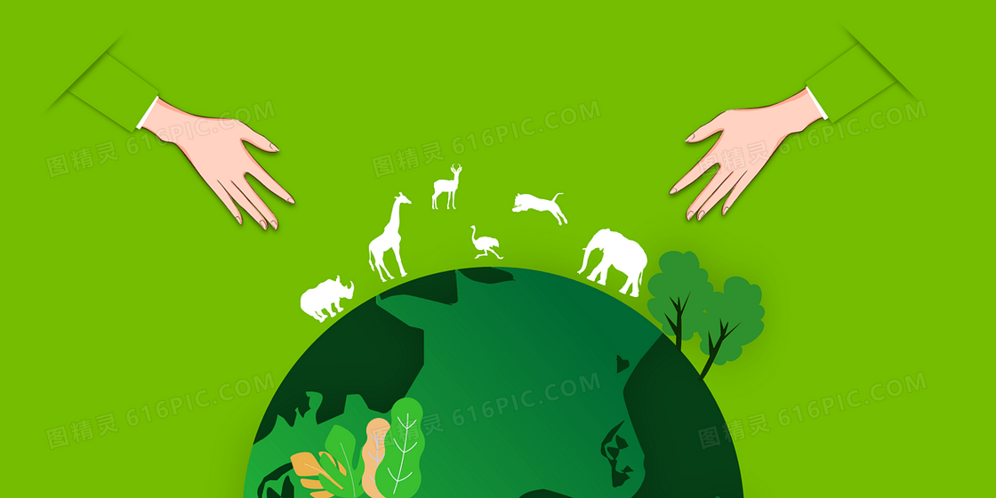 简约绿色世界野生动植物日背景