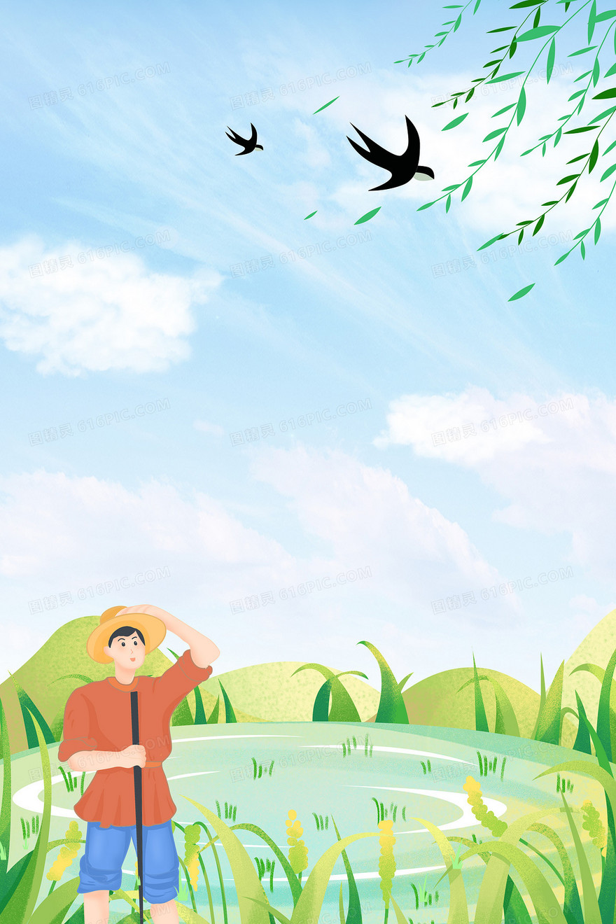 春天麦田田野田地背景