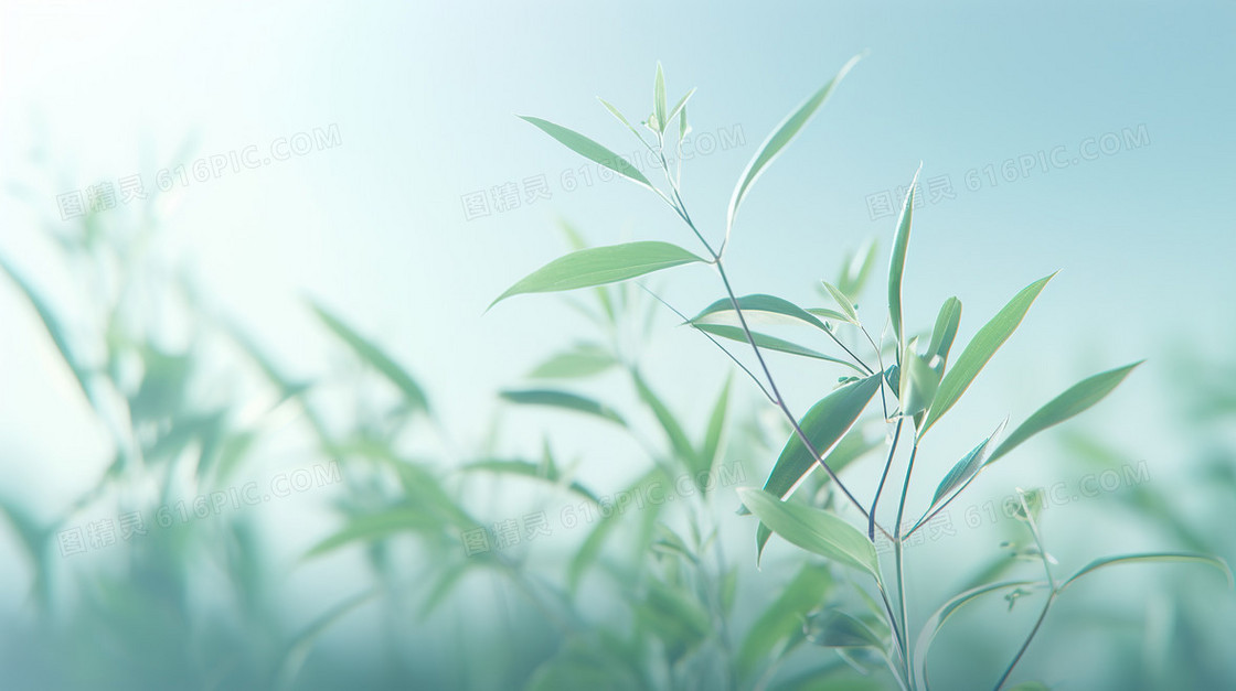 弥散风植物花卉小清新模糊纹理背景