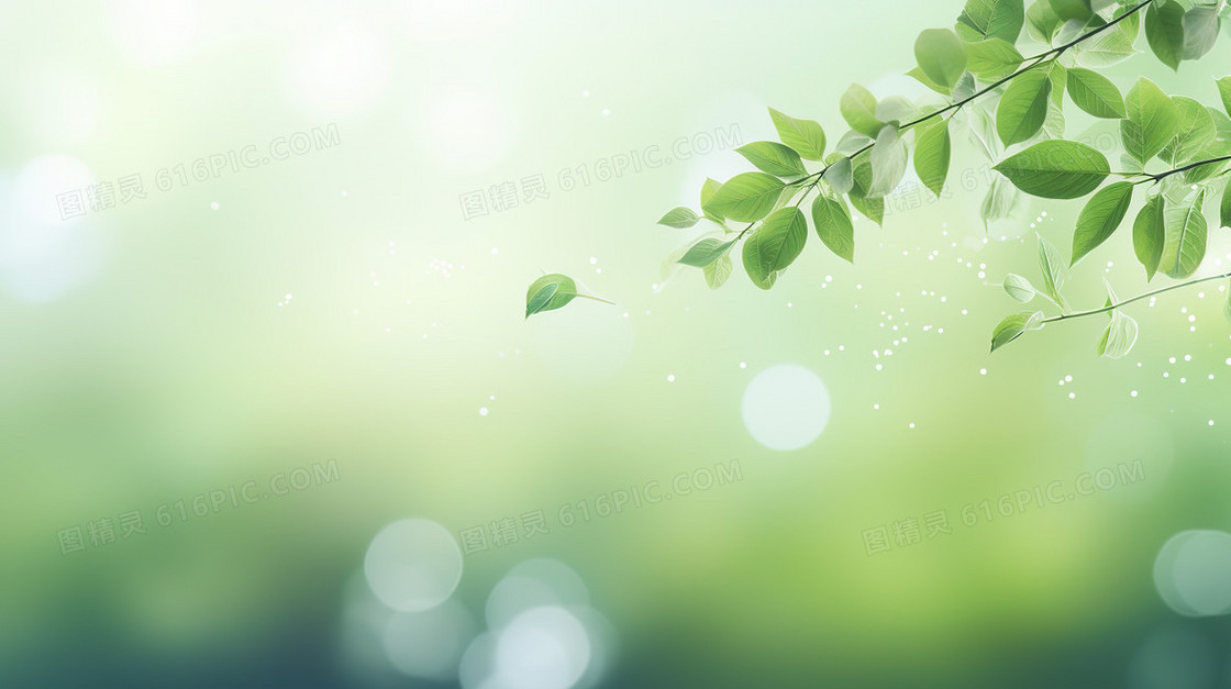 春天弥散风植物花草清新背景