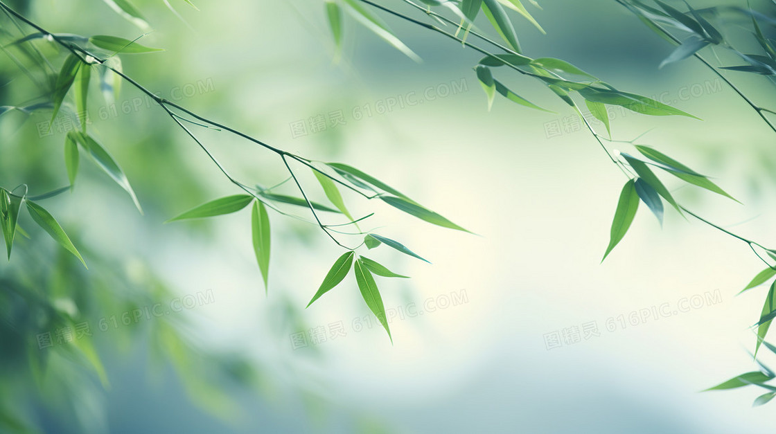 春天弥散风花卉植物清新背景
