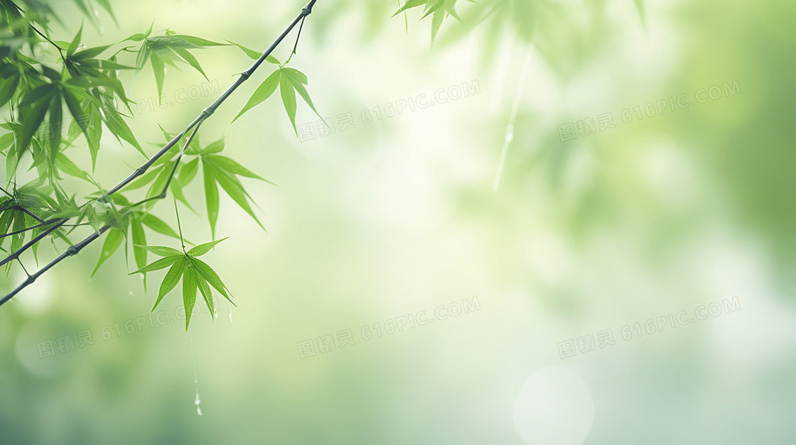 春天弥散风花卉植物清新背景
