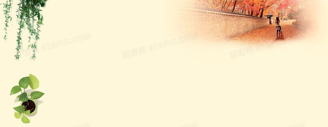 学生毕业纪念册清新背景banner