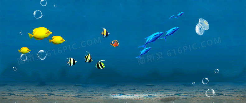海底海洋世界鱼群背景