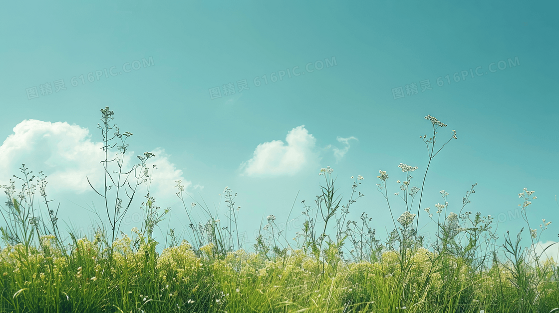 春天写实风景草地背景