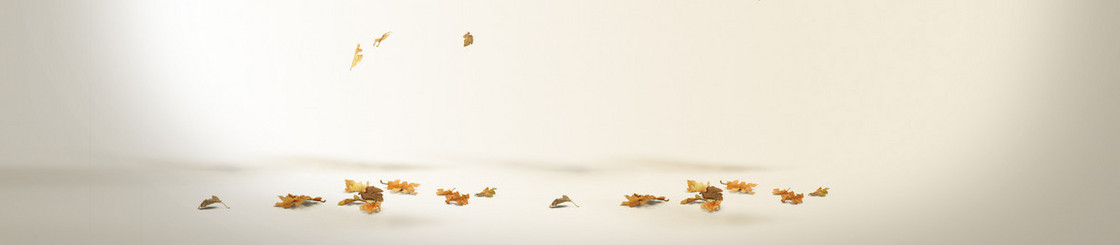 秋季奢华女装背景banner