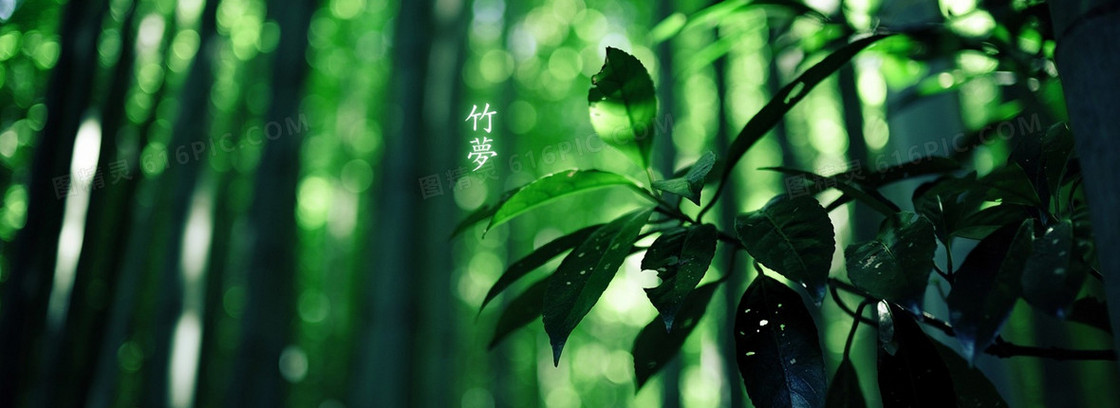 清晰背景