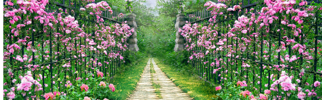 唯美花园背景