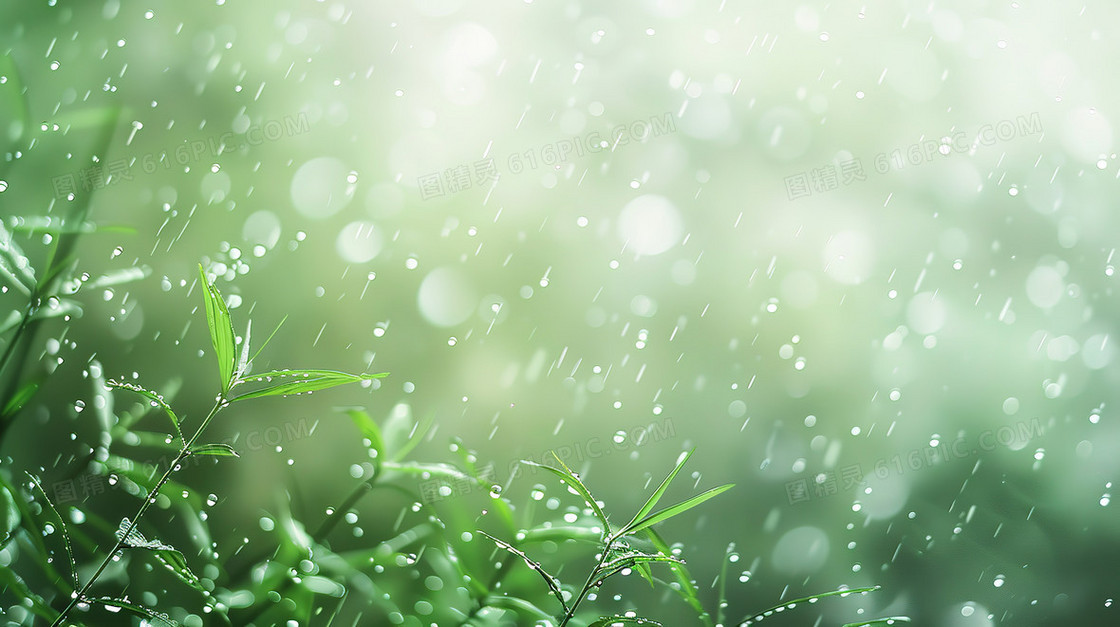 雨天绿色植物朦胧光晕清新背景图