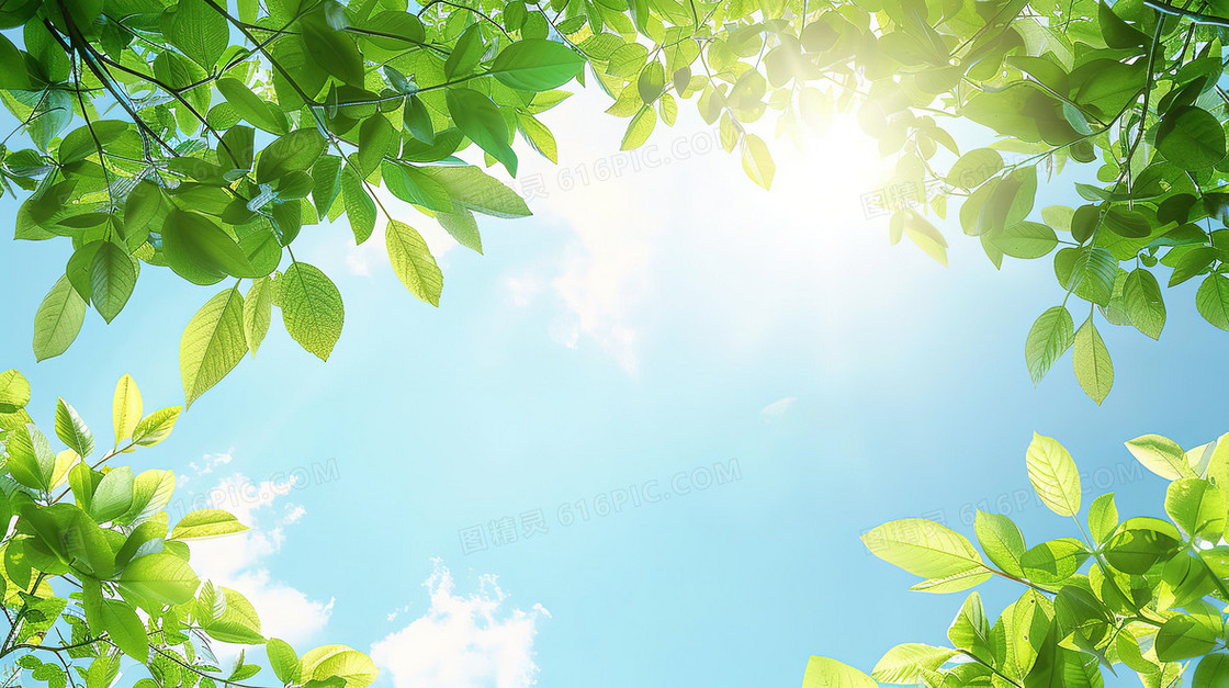 绿色树叶蓝色天空小清新背景图