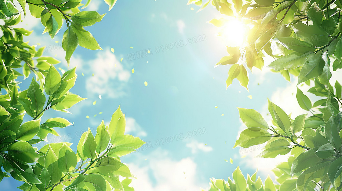 绿色树叶蓝色天空小清新背景图