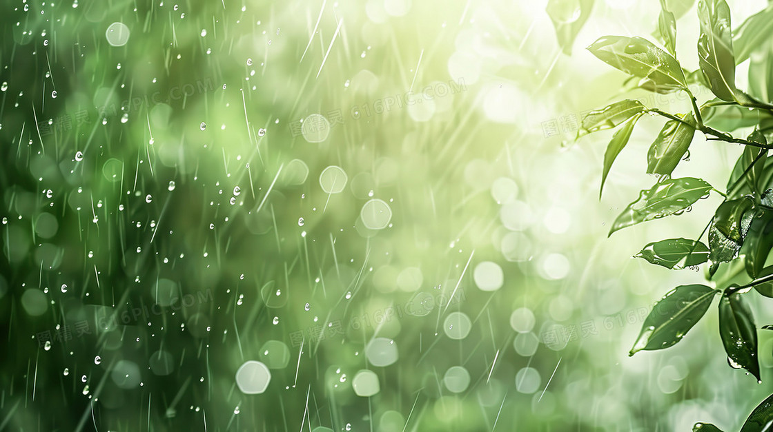 雨天绿色植物朦胧光晕清新背景图