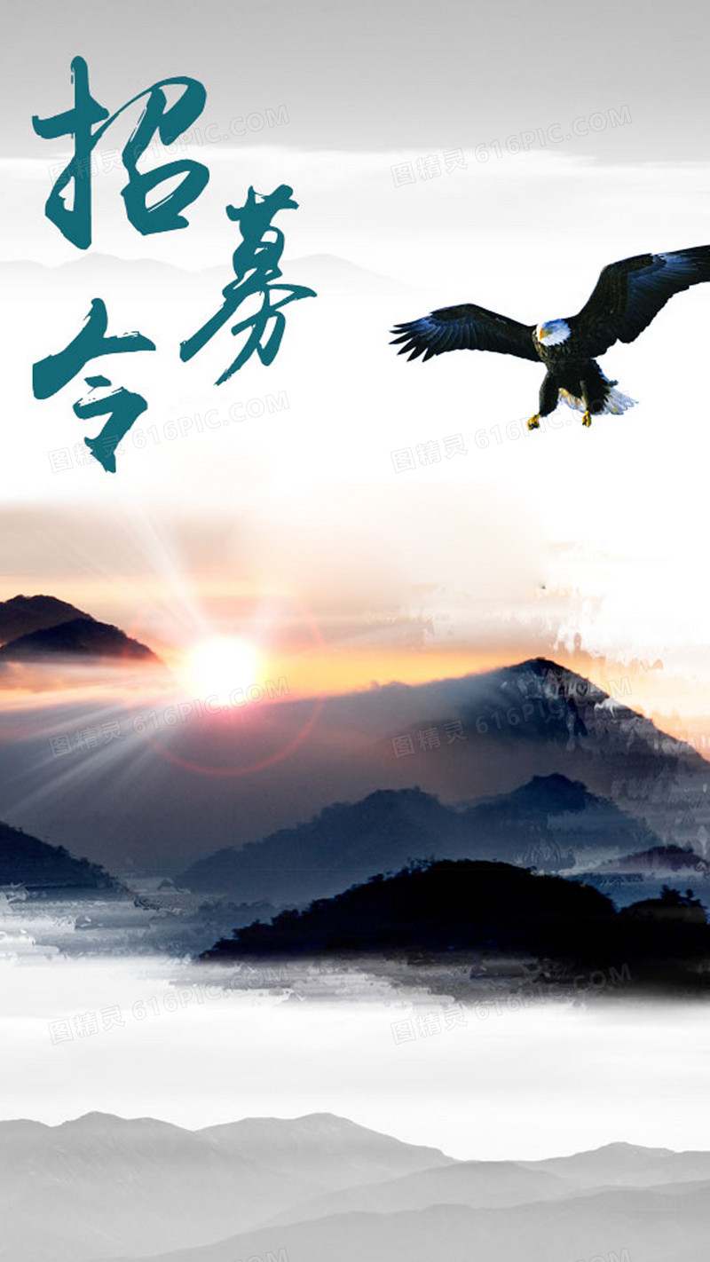 招聘背景
