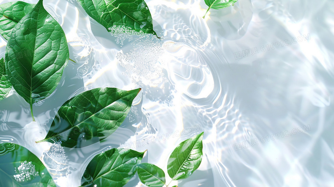 绿色夏季清凉植物叶片水面纹理背景