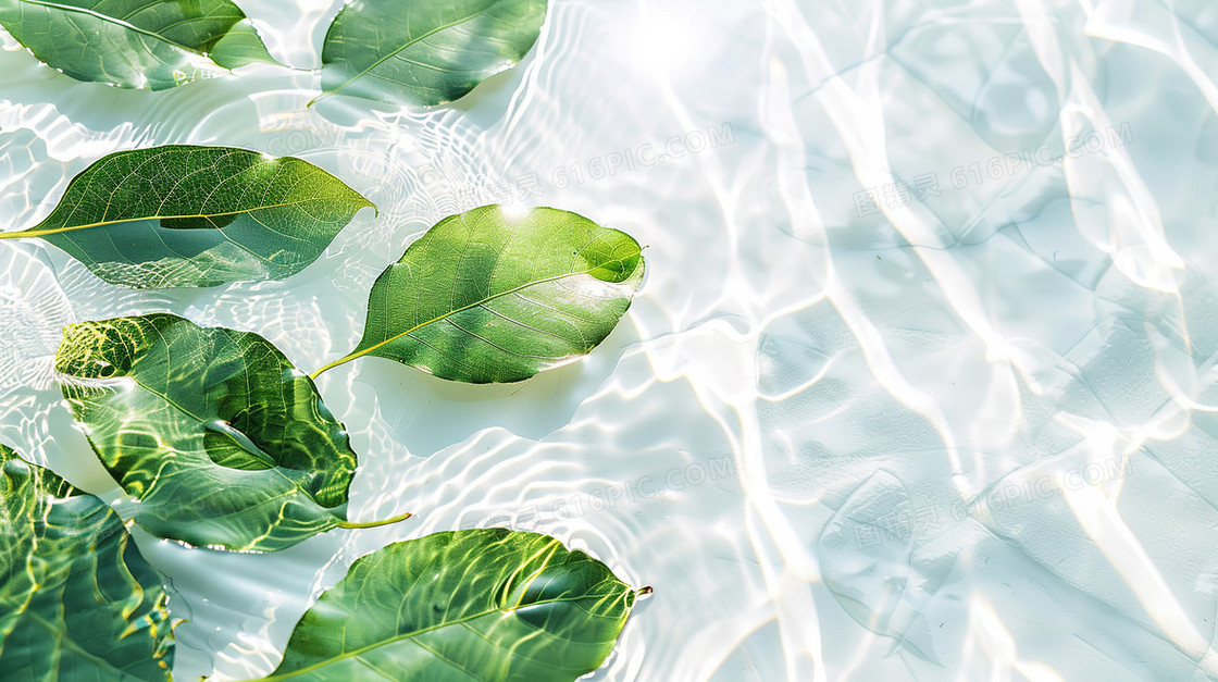 绿色夏季清凉植物叶片水面纹理背景