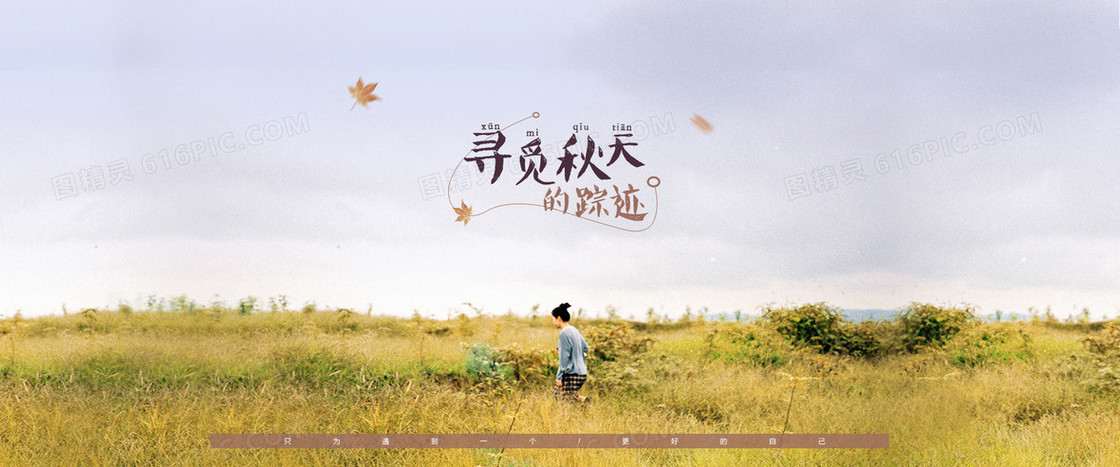 寻觅秋天的踪迹背景banner装饰