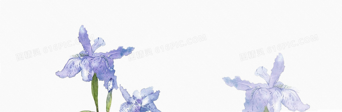 文艺范兰花水墨画背景banner