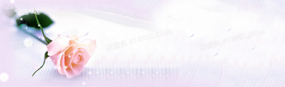 爱情温馨玫瑰花背景banner