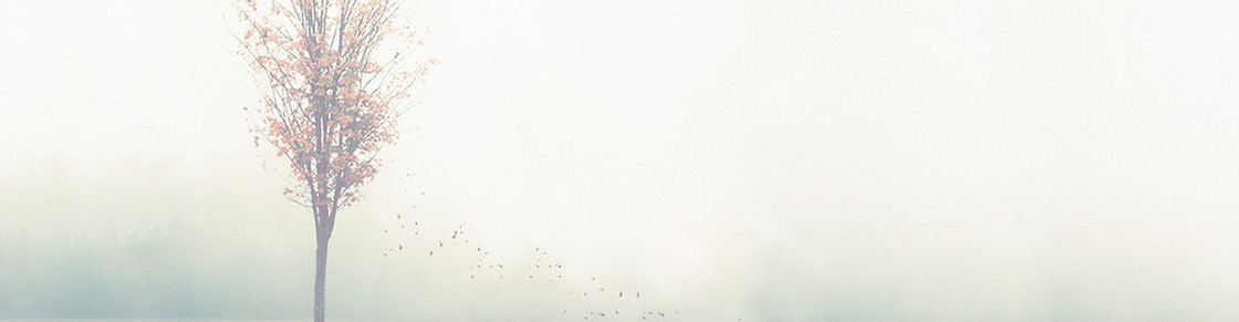 简约背景banner