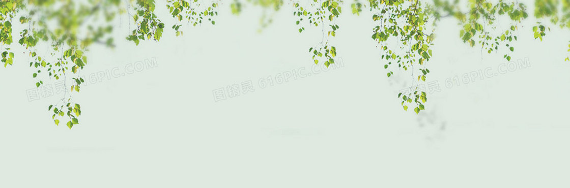 淘宝背景