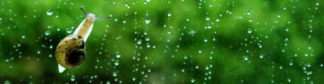 雨滴背景banner