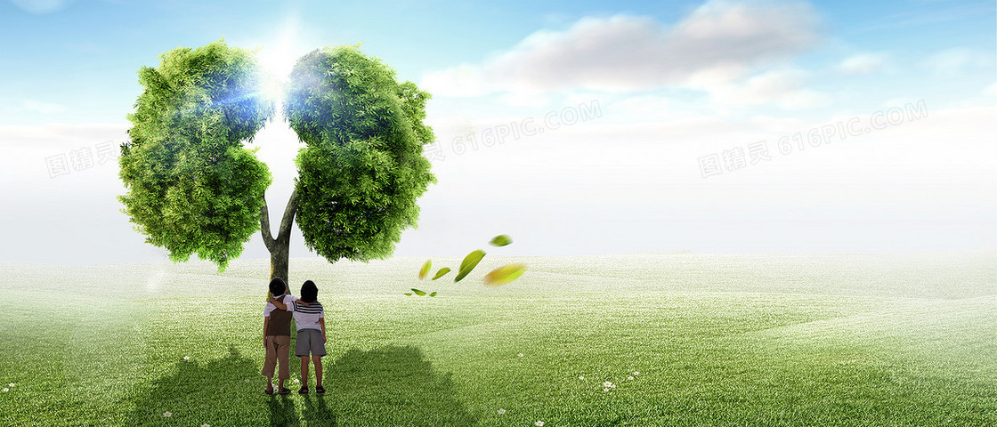 小区布告栏树是呼吸的肺背景