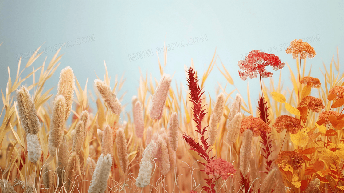 简约秋季植物背景