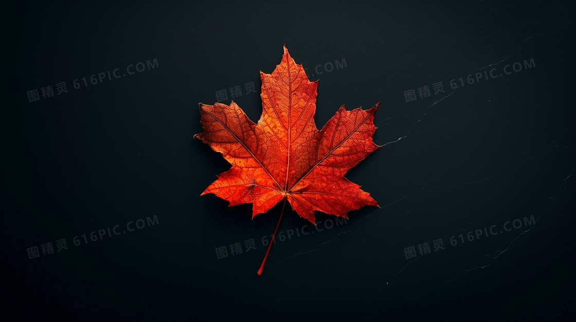 简约清新枫叶背景