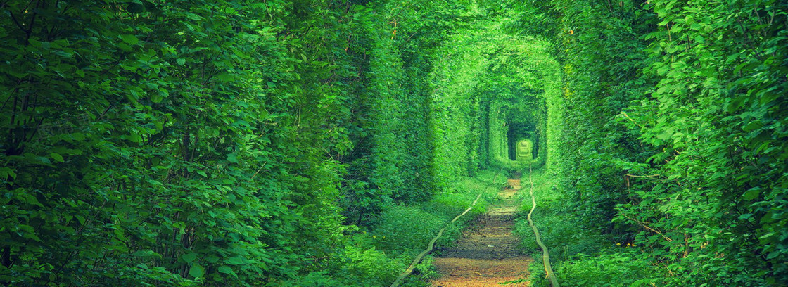 绿色隧道