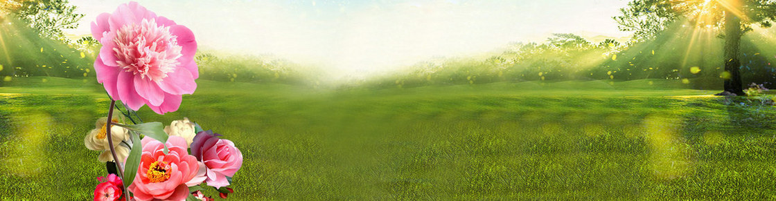 banner海报