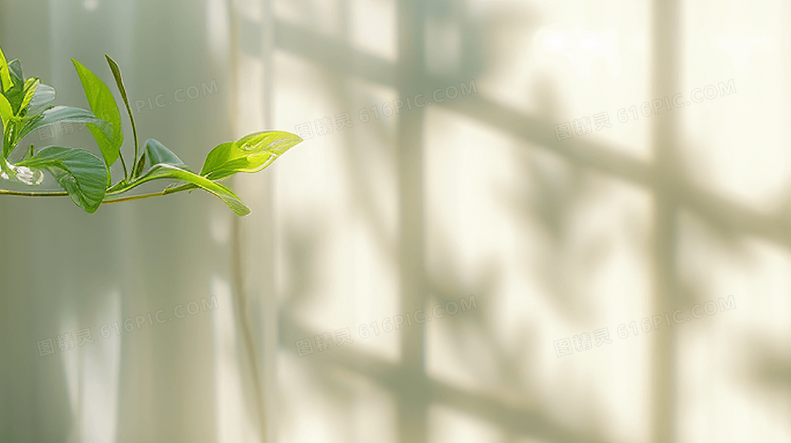 简约清新植物自然光影背景