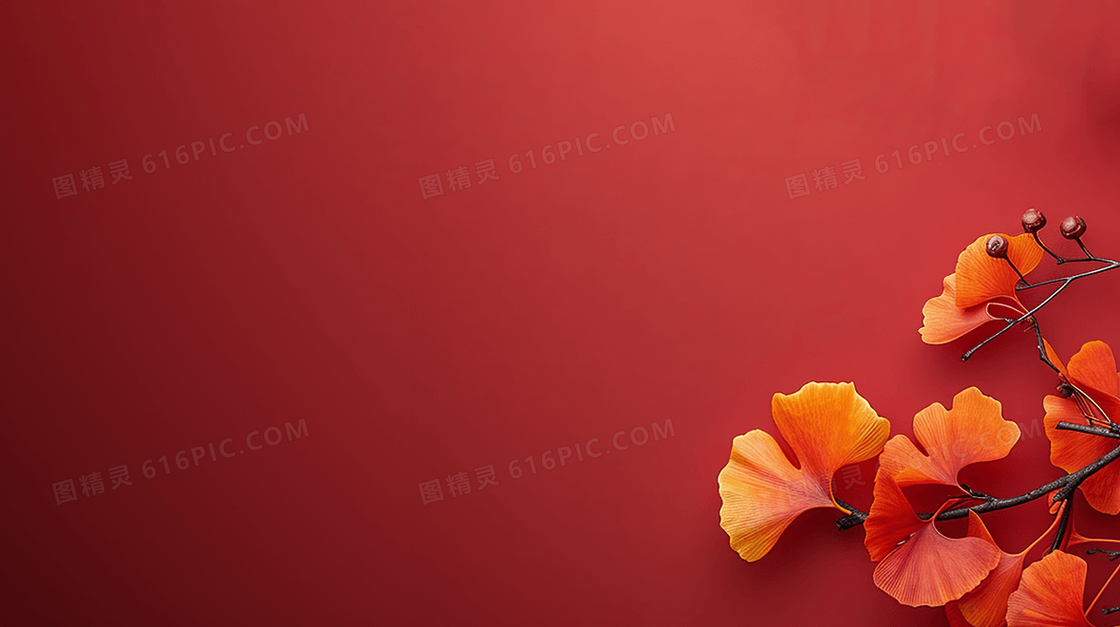 中国风银杏叶边框背景